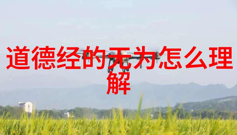 无欲则刚哲学上的坚定与内心的平和