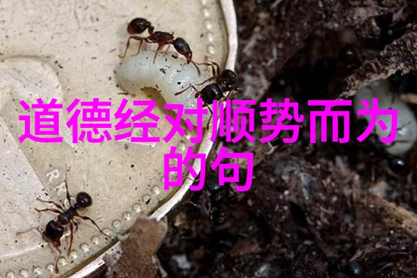 应无所住而生其心 无为而无不为我是这样想的活得轻松不做不必要的事