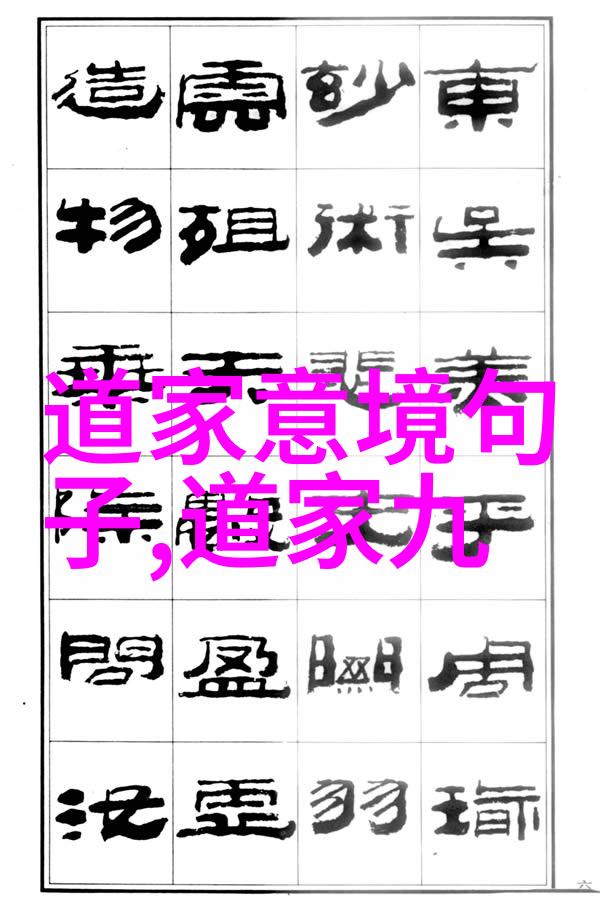 王体浅析道教内丹学阳生先天一炁的二源性矛盾