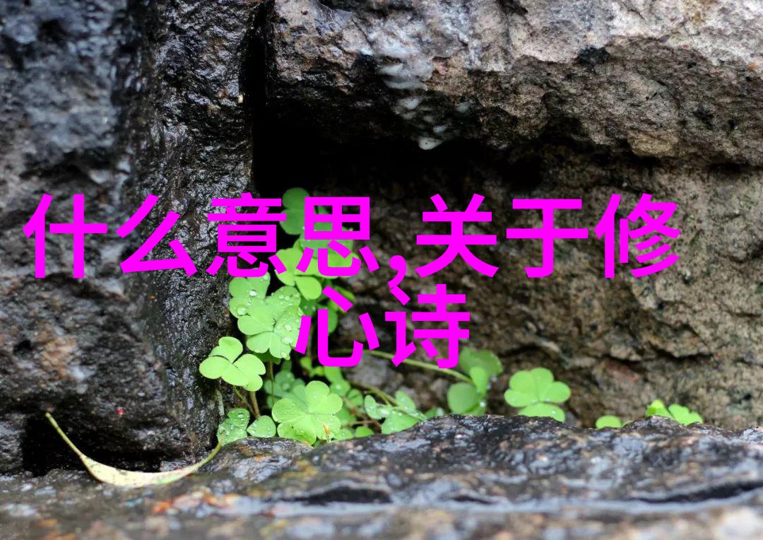 哲学探究-无为而治与无不为两者之间的辩证考量