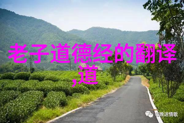 学习经典文献解密道教圣典成就自我