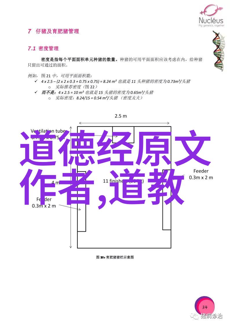 三元八卦与五行六亲解读古代占卜术