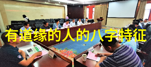 嗜血神灵txt古老传说中的吸血鬼故事