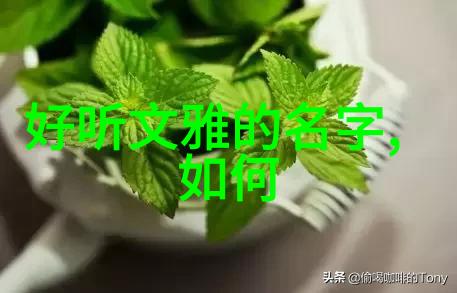 道家学派代表人物王文卿是神霄派创始人手持经卷如同握着宇宙之钥