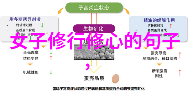 中国古代辟邪宝物道教文化中的天然道观如何自学道家法术