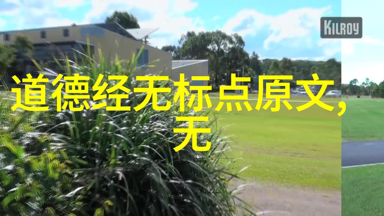 大道至简之谜揭秘最简单的智慧背后的复杂世界