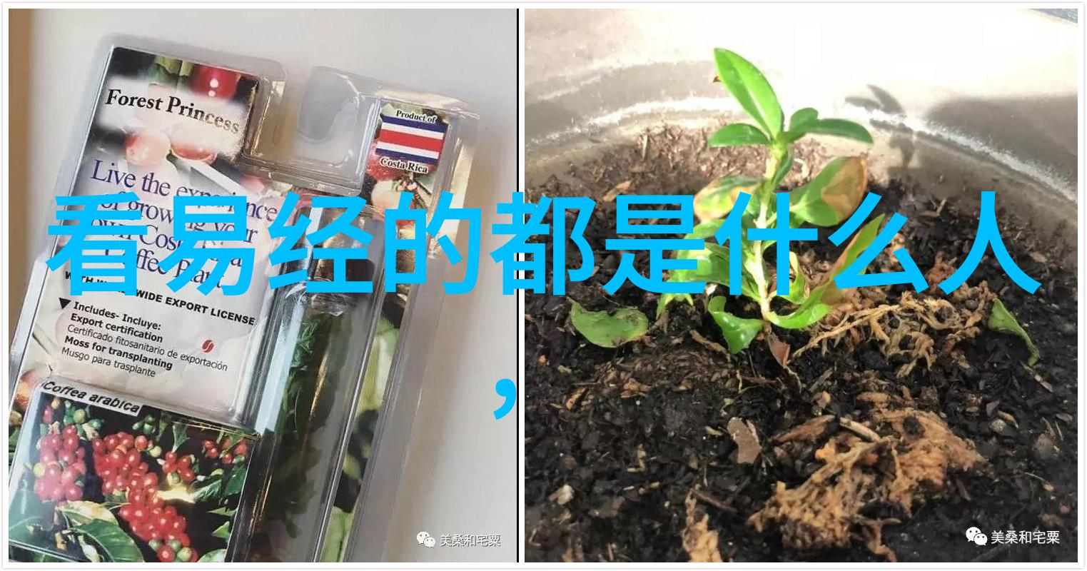 四大菩萨谁最为强大排位之争考量法力与威严