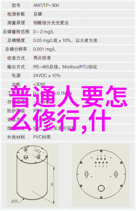 道家智慧的传承者揭秘历史上的道家名人故事