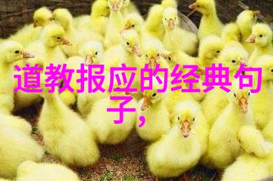 无欲则刚解析道家哲学中的内在力量与心灵修养