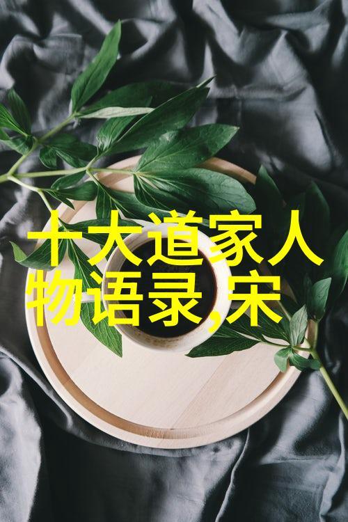 还珠格格野传-逆袭的格格从宫廷到草原的传奇