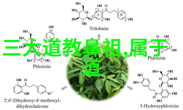 出道弟子眼中变幻的光芒揭秘其背后的原因与意义