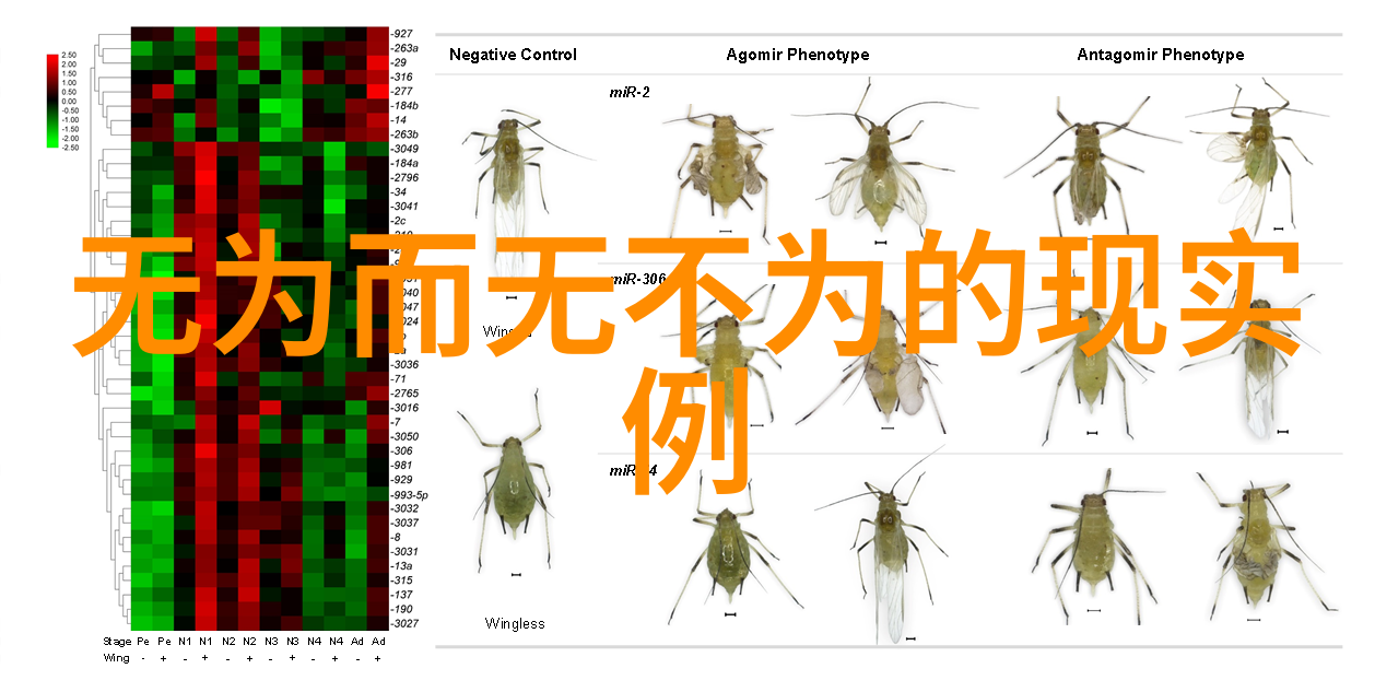 言笑弯弯探索生活中的温馨瞬间