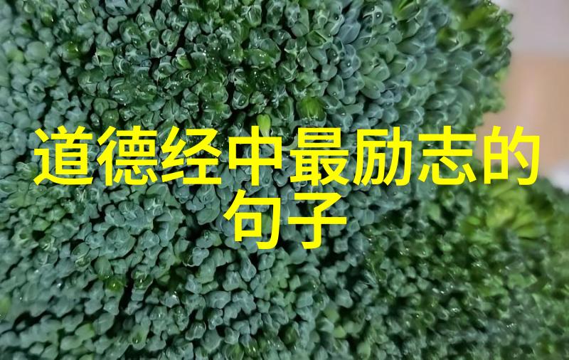 道家真人名单-揭秘古籍道家的圣贤与隐士