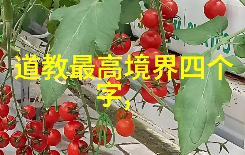 道家学派代表人物是-道德经与庄子探索古代哲学智慧的双重镜