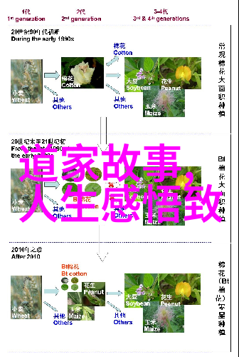 道教圣贤黄庭英灵的智慧与魅力