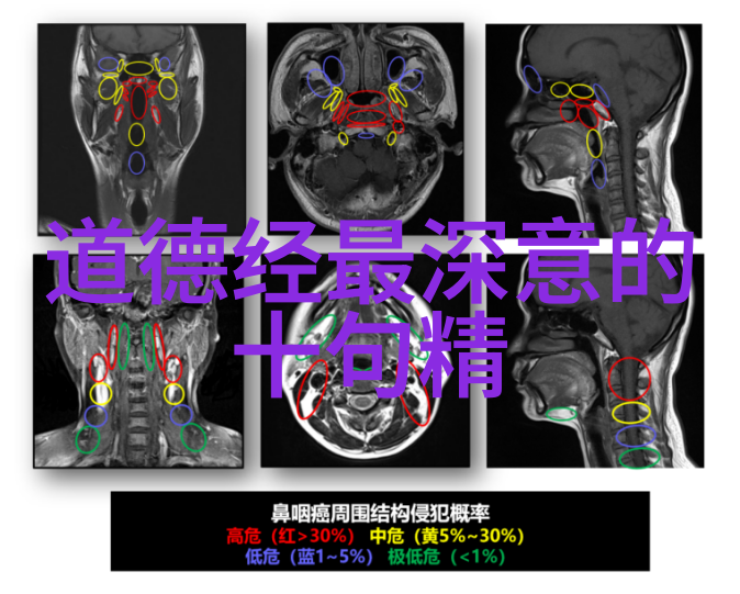 红白喜事酒席讲话结婚回门的三天之旅是否需要一晚的陪伴