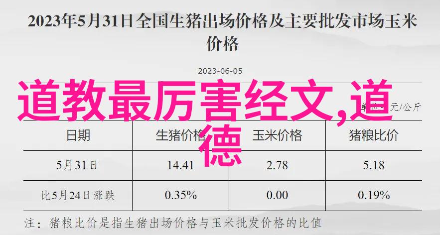 宗教文化-道教圣贤探索道家哲学与人物精神