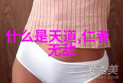 道家的政治理念与实践者如韩非和他的法治思想对比分析