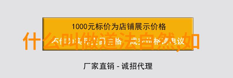 道家传承人物探索隐世修行的智者与勇士