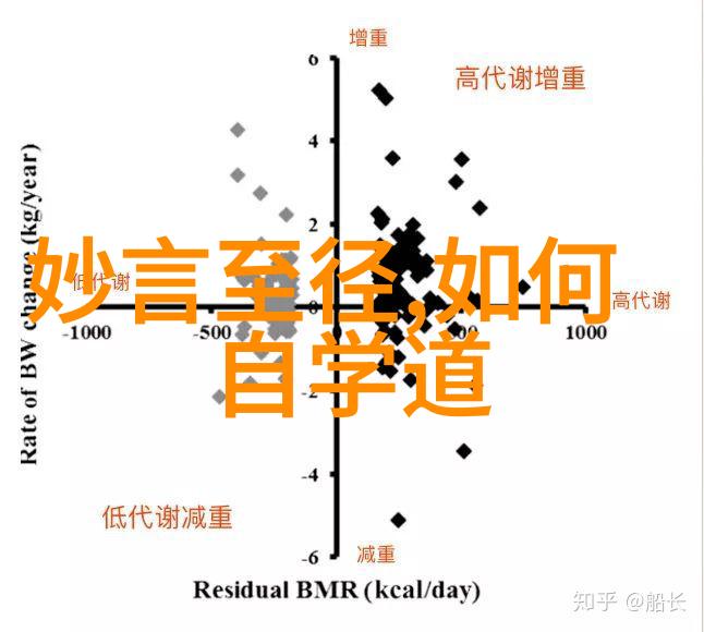 无欲则刚探索内心坚韧与自我克制的艺术