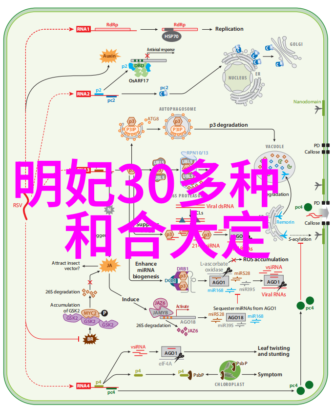 祭炼山河守护自然的永恒使命