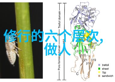 主题我是如何用seed加速器让我的创业梦想迅速生根发芽的