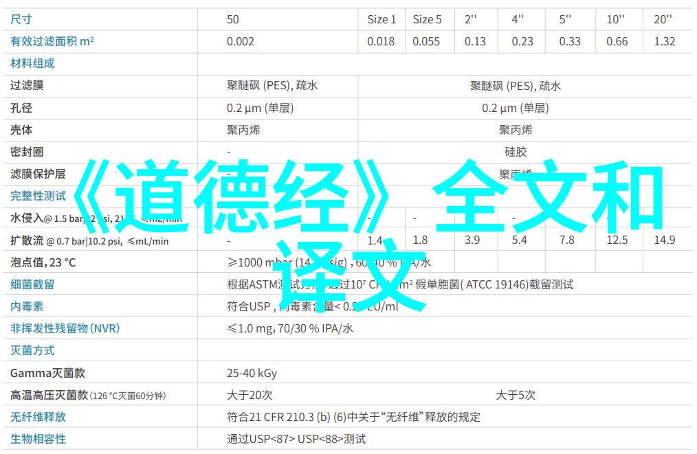 道教的智者古今传说中的代表人物