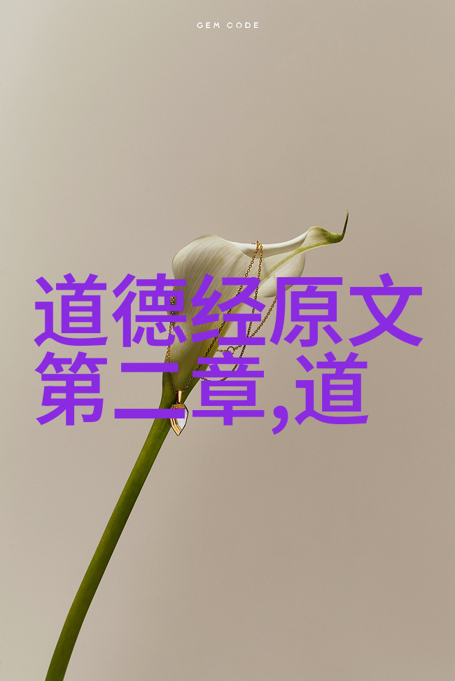 道德经之道百病皆可药