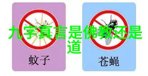 霸气修仙十句震撼言语的背后力量