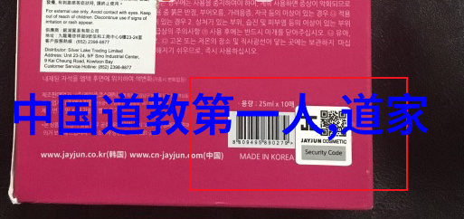 小说家的思想主张探究 文学中的道德与现实交融