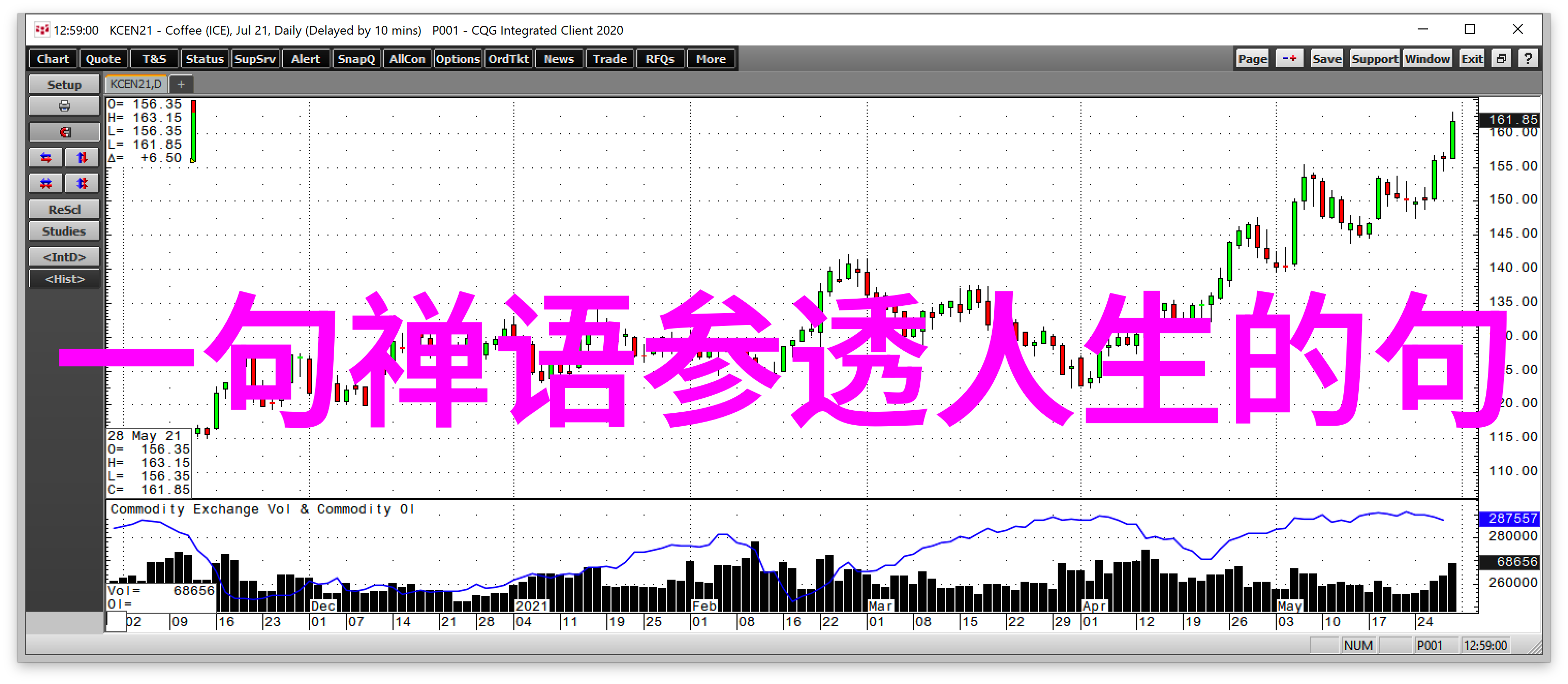 什么因素造就了张三丰成为武当山派创始人的盛名