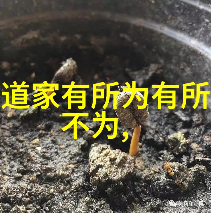 如何在现代社会中实践老子无为而治的智慧不失其原旨的哲学深度和现实意义