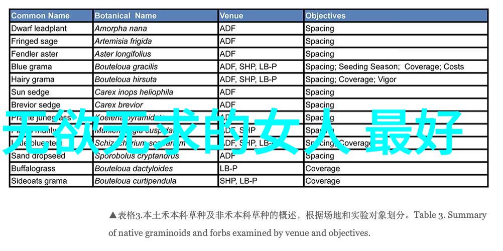 春夜困渡苏晚穿越时光的沉默之旅