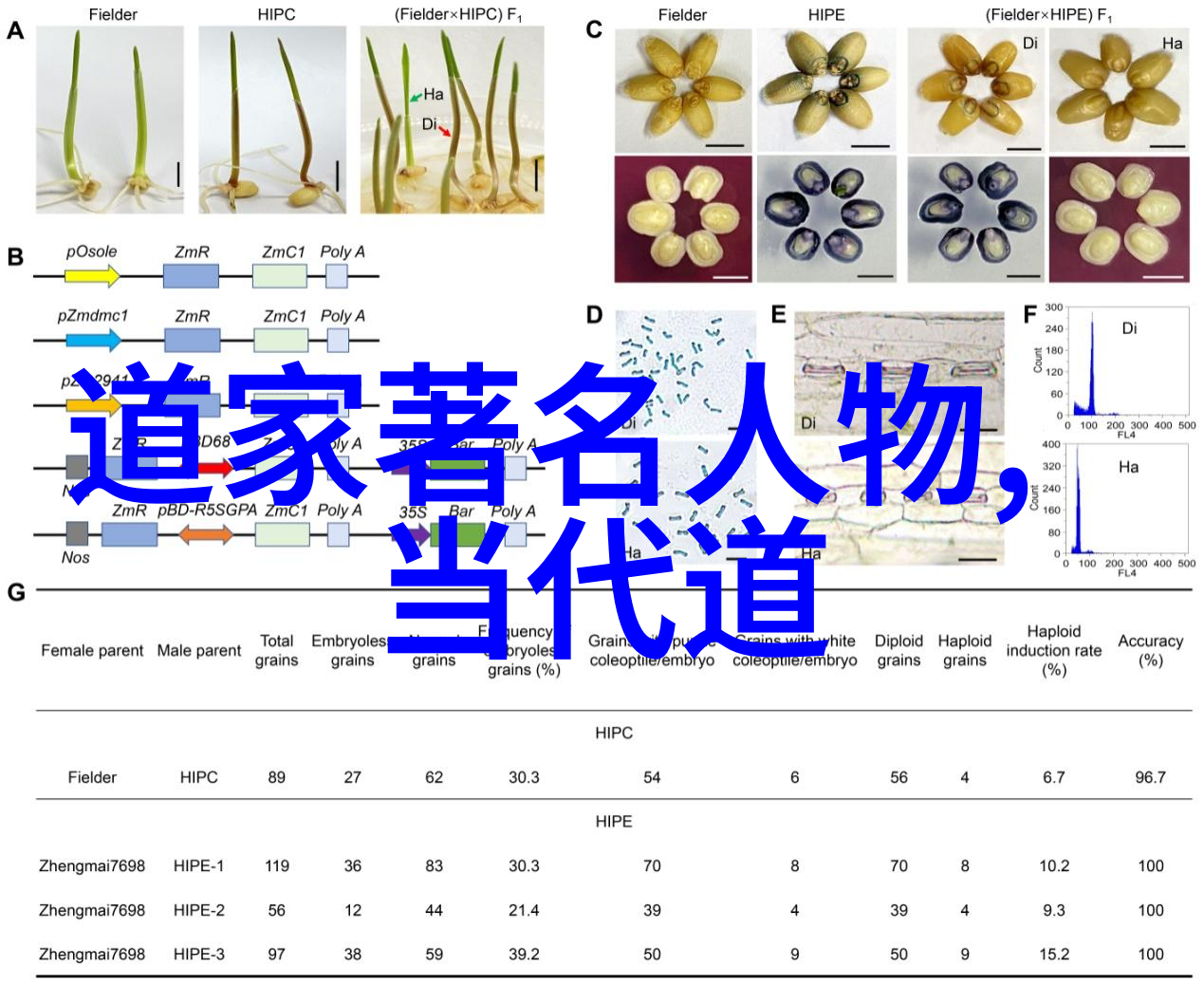 我行其野-在无垠的草原上我行其野追逐梦想的不羁篇章