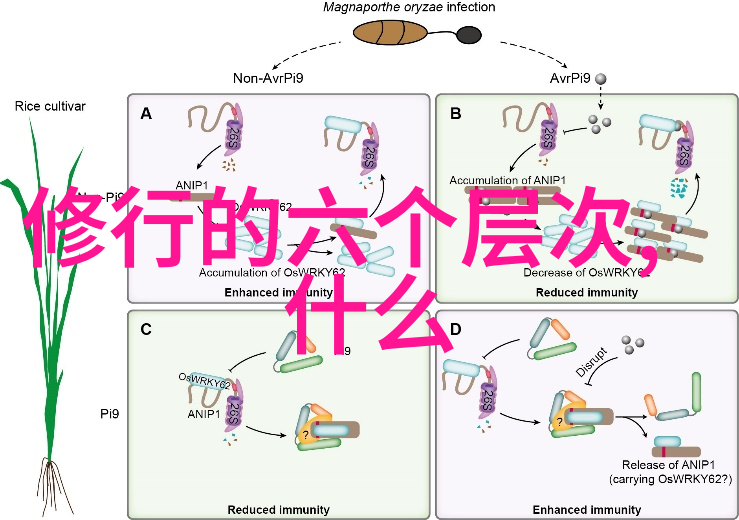 二月初三文昌帝君圣诞探秘道教考神与人生感悟每日禅语中的子嗣寻找