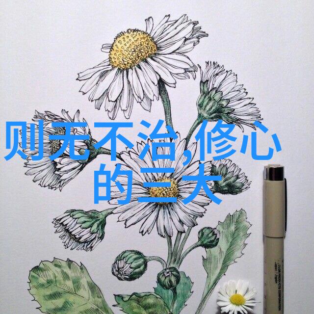 想学玄学怎么入门探秘宇宙的奥秘