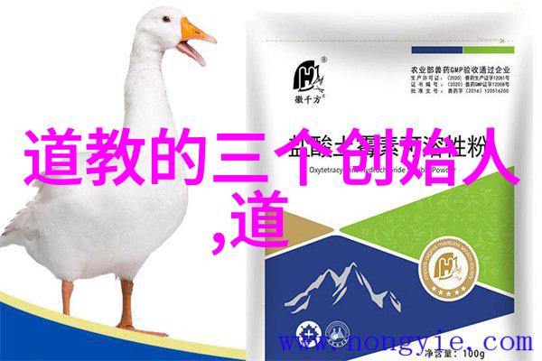 奇门遁甲入门基础学视频教程全集掌握神秘遁甲术的艺术与实践