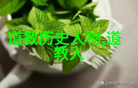 弥勒菩萨的慈悲降临释迦牟尼佛的化身与万众救赎