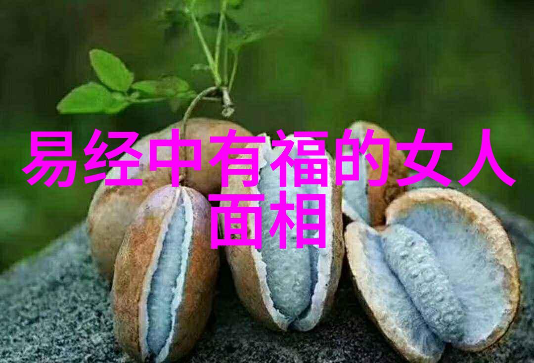 重生之深度诱入我是被时光的轮回卷入其中的人