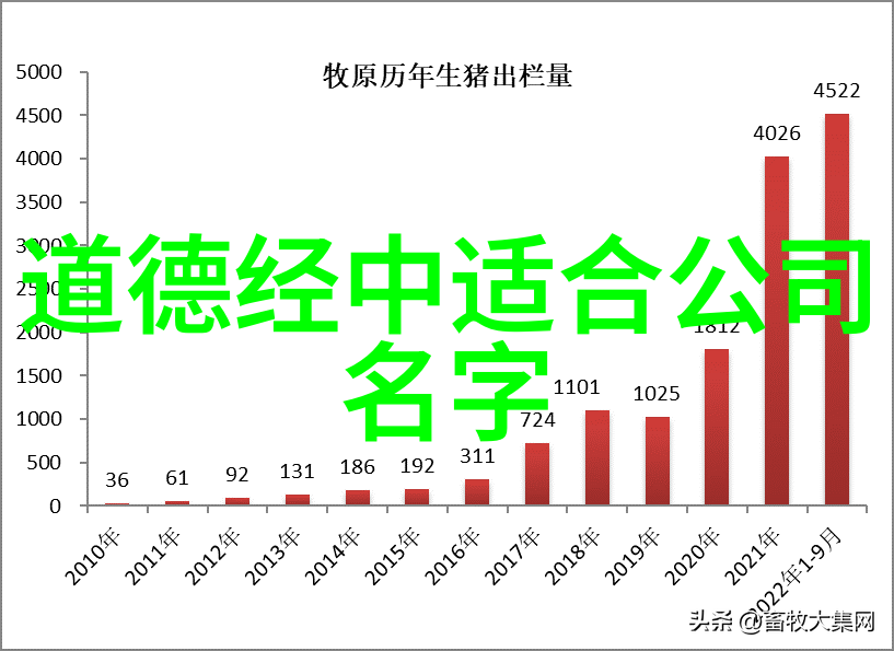 学玄学入门之旅揭秘神秘知识的世界