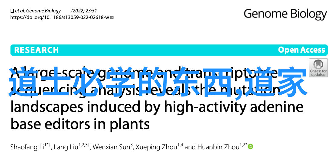 古诗名句摘抄鉴赏探索经典文言诗词的深意与韵味