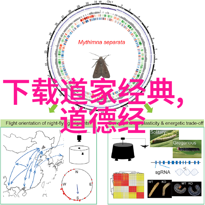 悟在天成的奥秘理解自然界中事物自发发展的哲学