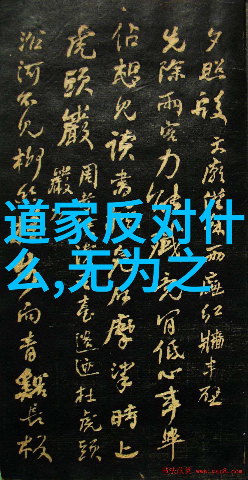 天人合一的秘密中国近代道家代表人物的未解之谜