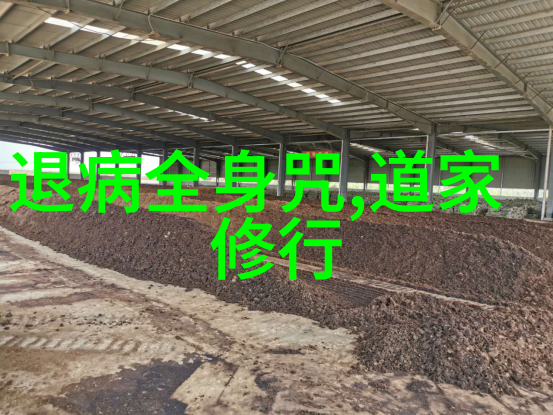 探索文学之深处小说家的思想主张与社会的呼声