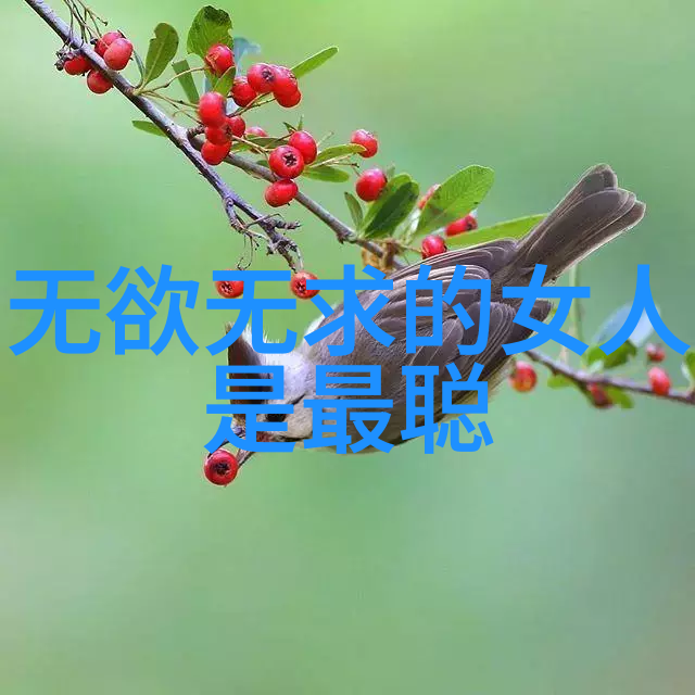 王阳明哲学王阳明的道德哲学