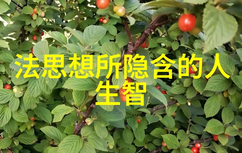 绽放的爱情花园浓情蜜意下的温馨岁月