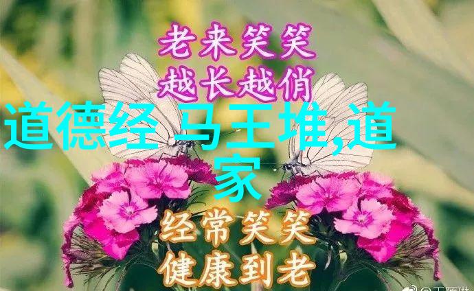 道德经探究老子讲堂一篇一段细解每句