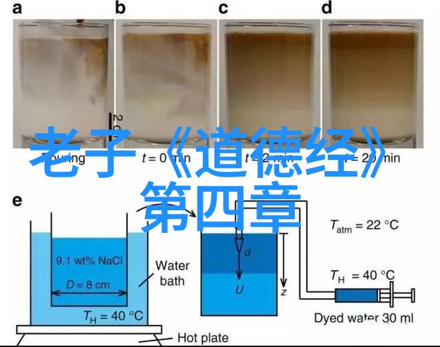 老子的道伴探索道家哲学的另一位重要代表人物