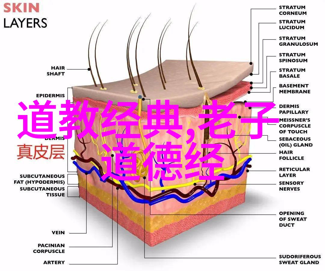 探索禅语中的一念之转它是怎样影响我们的思考方式的