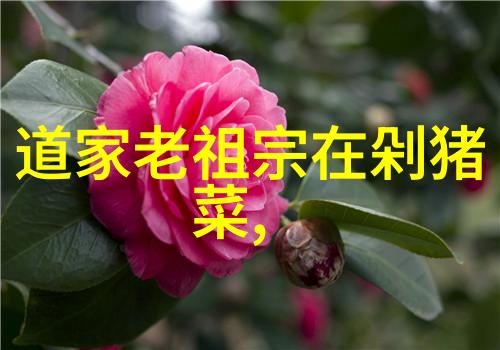 念九字真言的好处心灵净化积极思考增强意志力